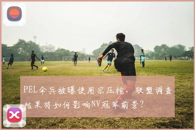PEL伞兵被曝使用宏压枪,联盟调查结果将如何影响NV冠军前景?